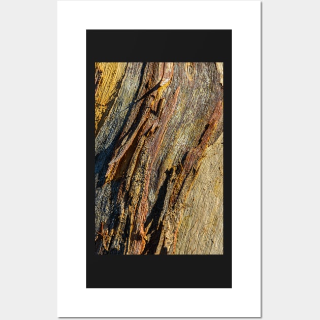 Bark CR02 Wall Art by fotoWerner